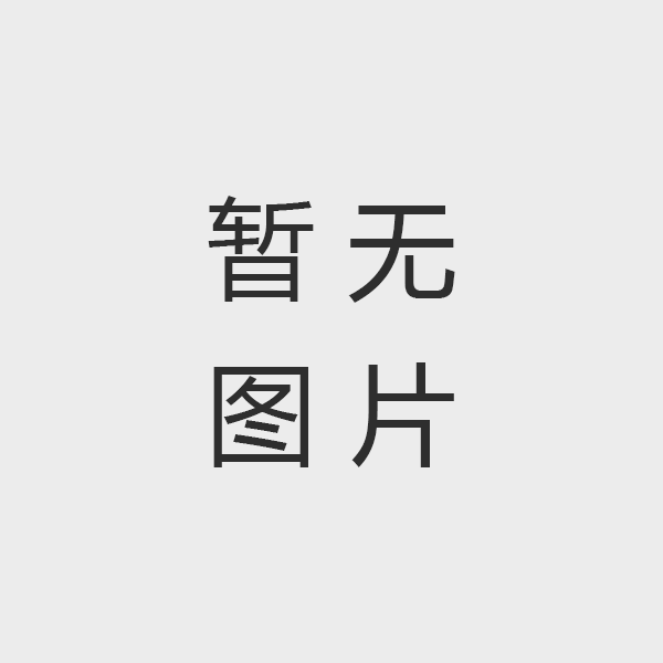 西南能礦集團專職外部董事喻世蓉到能礦錳業調研